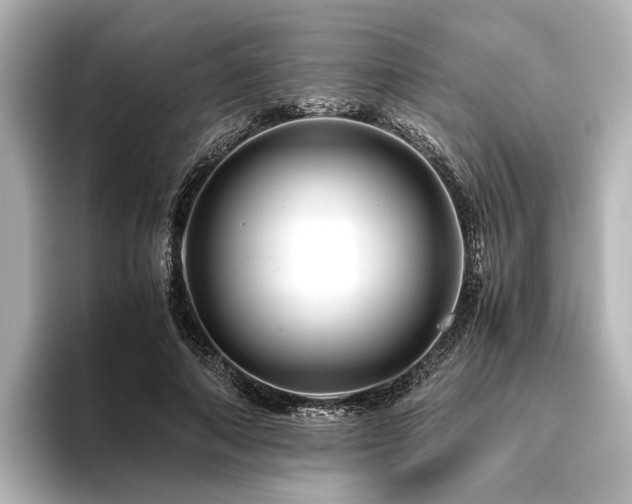 X0000096480690200801241445