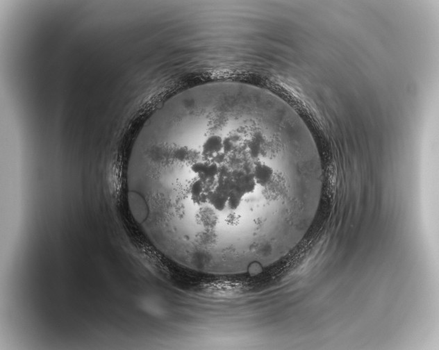 X0000096480691200801241445