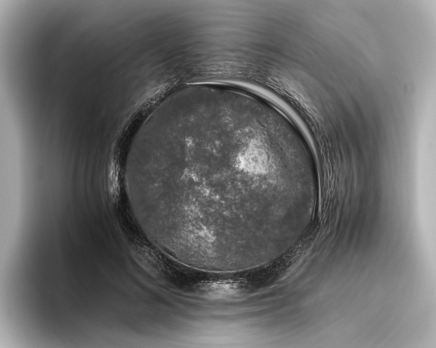 X0000096480692200801241445