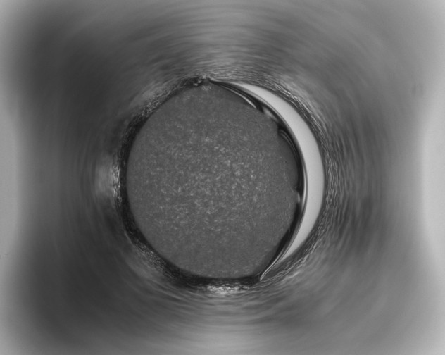 X0000096480693200801241445