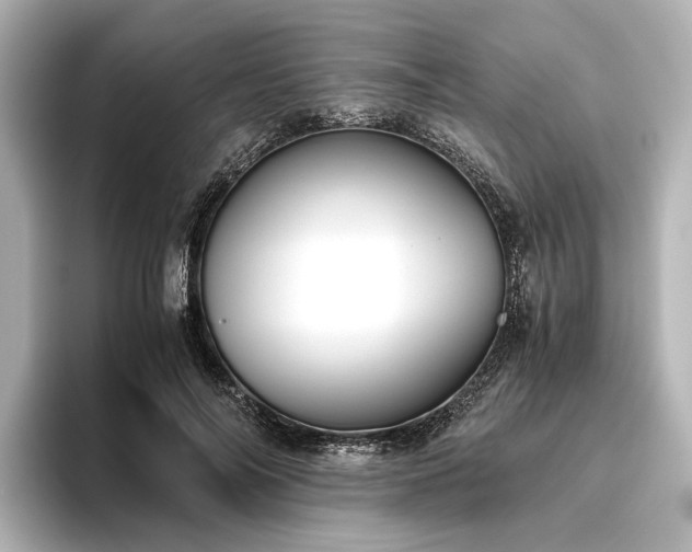 X0000096480694200801241445