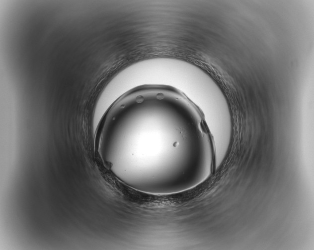 X0000096480696200801241444