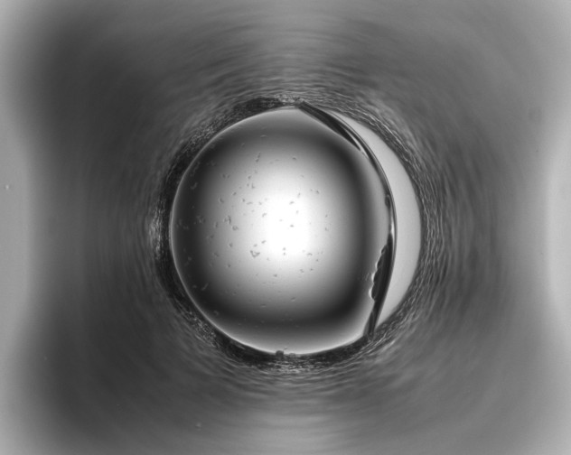 X0000096480697200801241444