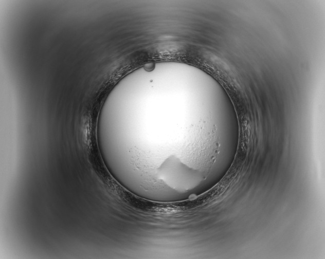 X0000096480698200801241444