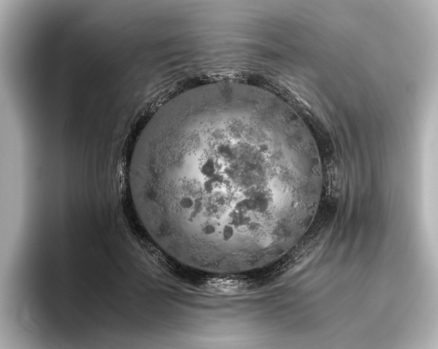 X0000096480699200801241444