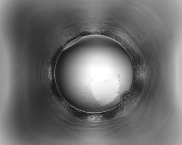 X0000096480700200801241444