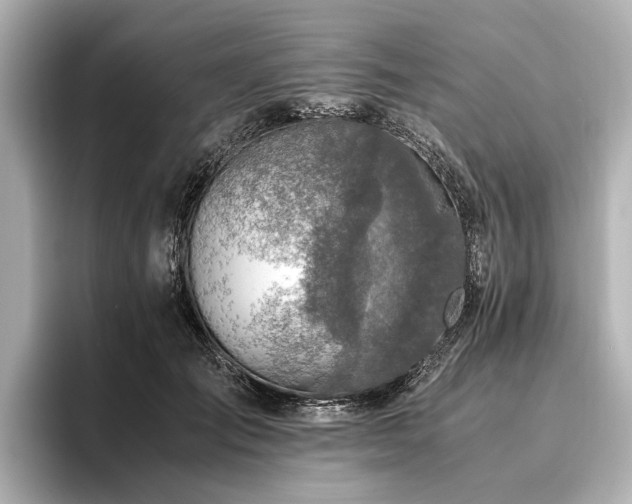 X0000096480701200801241444