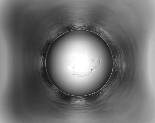 X0000096480702200801241444