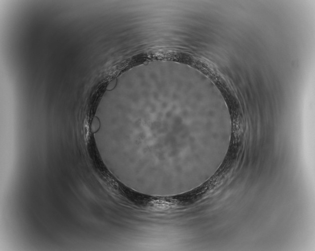 X0000096480703200801241444