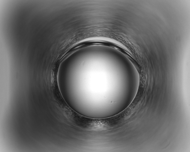 X0000096480704200801241444