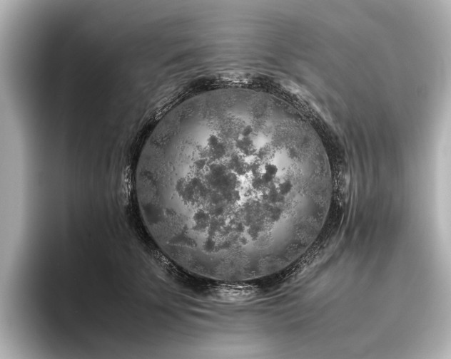 X0000096480707200801241444