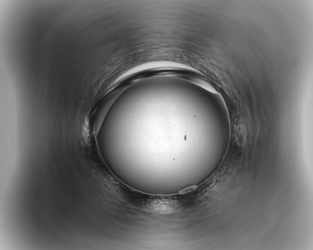 X0000096480708200801241444