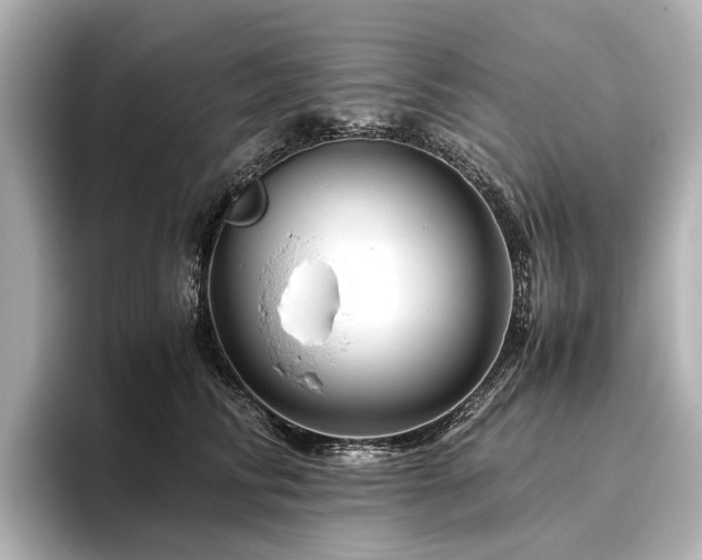 X0000096480710200801241444