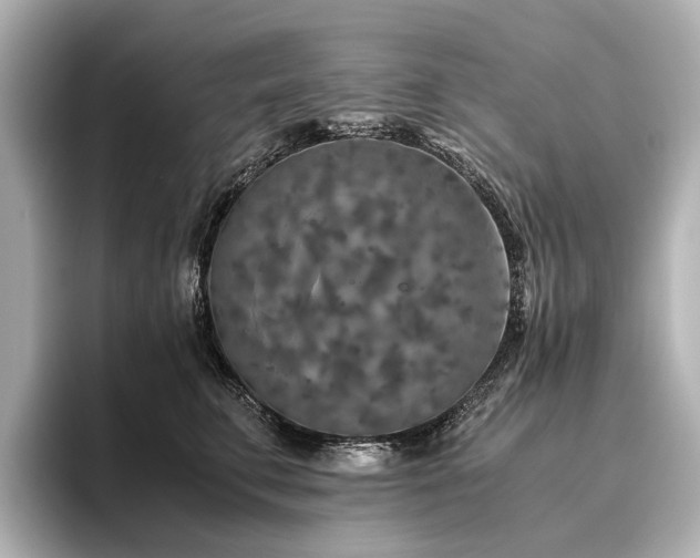 X0000096480711200801241444