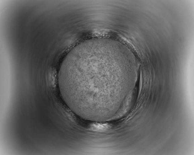 X0000096480712200801241444