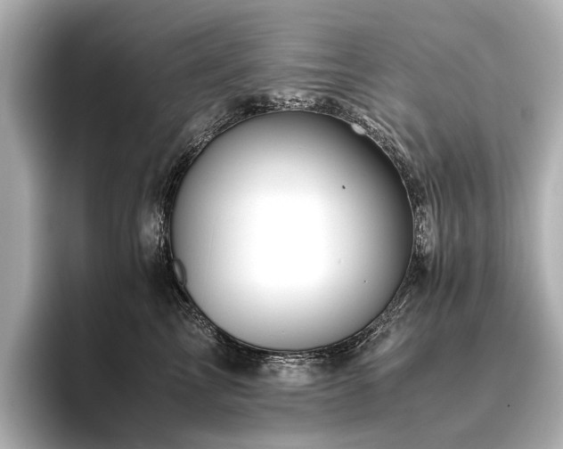 X0000096480713200801241444