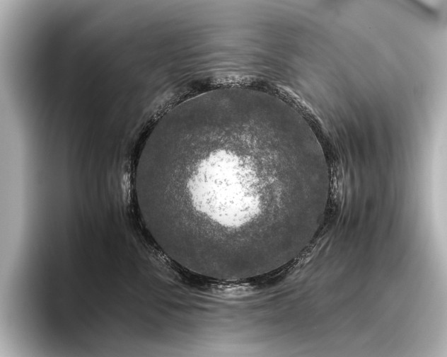 X0000096480716200801241444