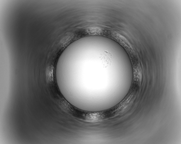 X0000096480717200801241444