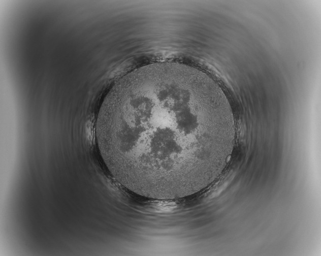 X0000096480719200801241444