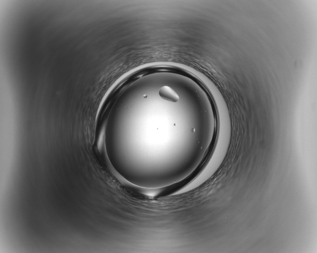 X0000096480720200801241444