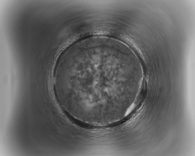 X0000096480721200801241444