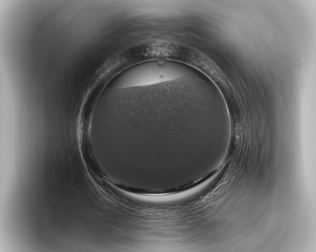 X0000096480722200801241444