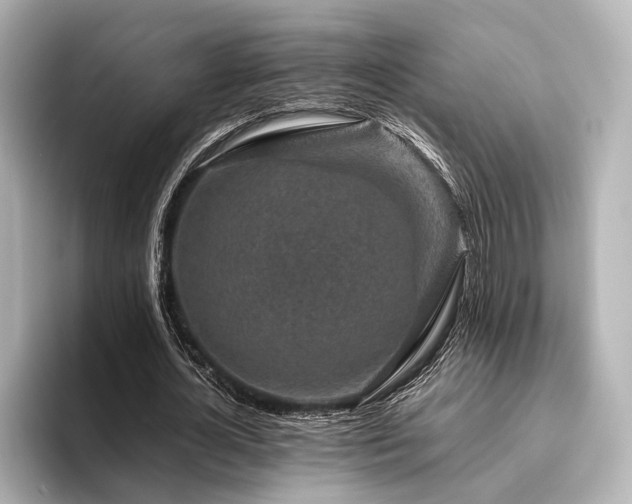 X0000096480724200801241444