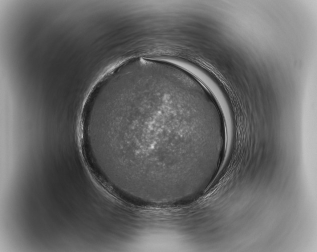 X0000096480726200801241444