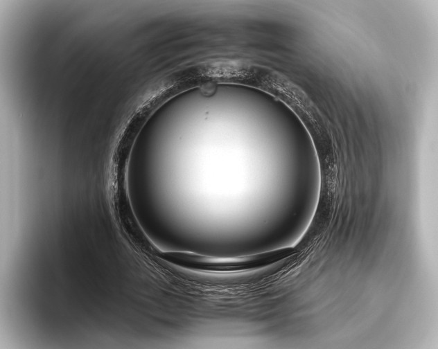 X0000096480727200801241444