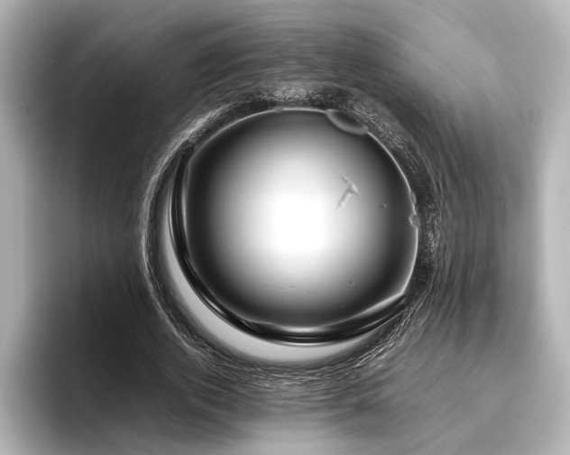 X0000096480728200801241444