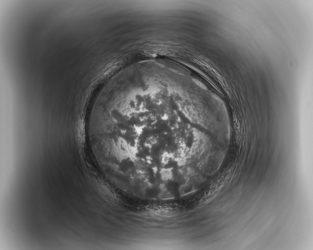 X0000096480729200801241444