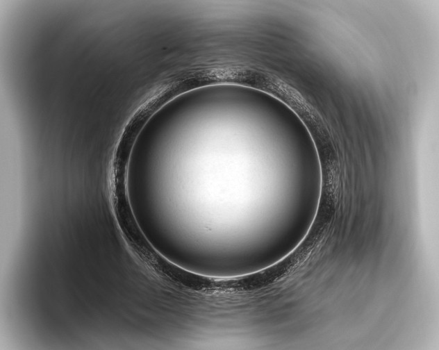 X0000096480730200801241444