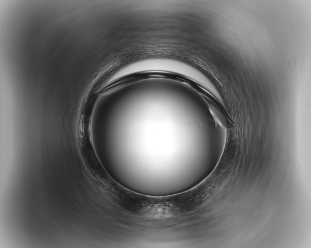 X0000096480731200801241444