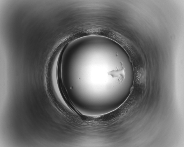 X0000096480732200801241444