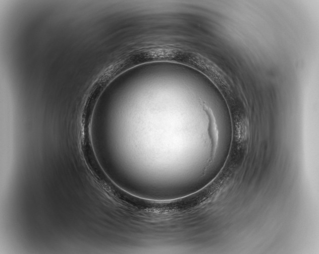 X0000096480733200801241444