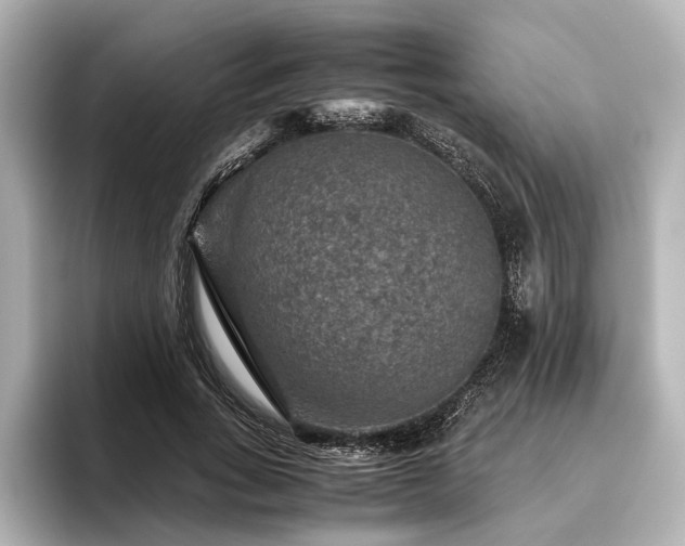 X0000096480735200801241444