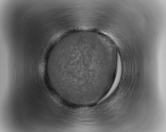 X0000096480736200801241444