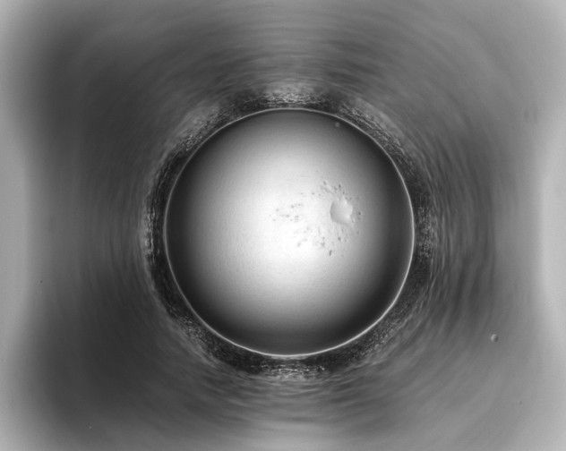 X0000096480738200801241444