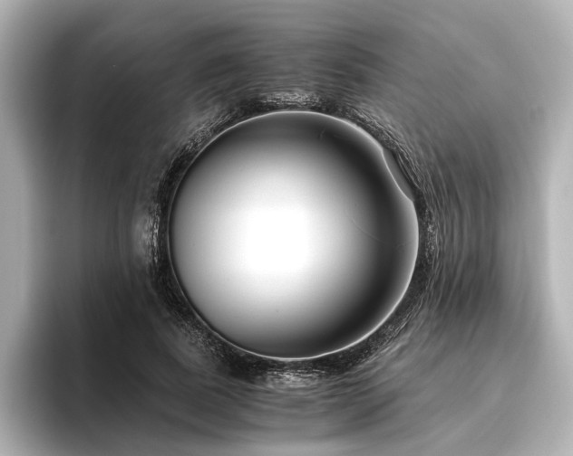 X0000096480739200801241444