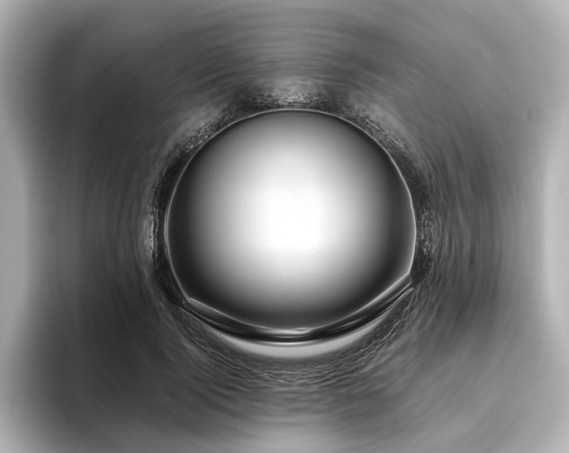 X0000096480740200801241444