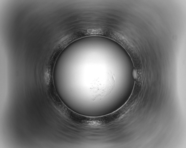 X0000096480741200801241444