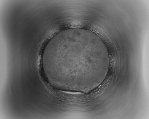 X0000096480742200801241444