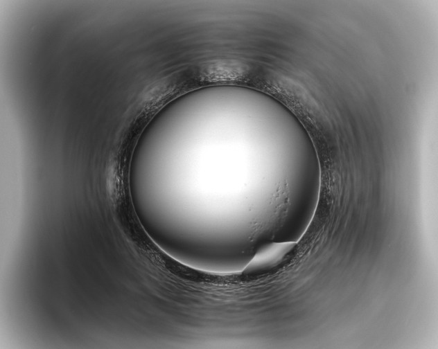 X0000096480743200801241444