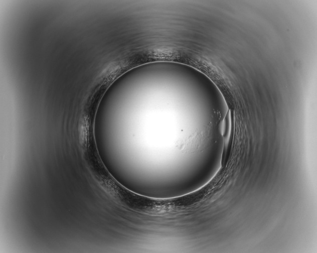 X0000096480744200801241444