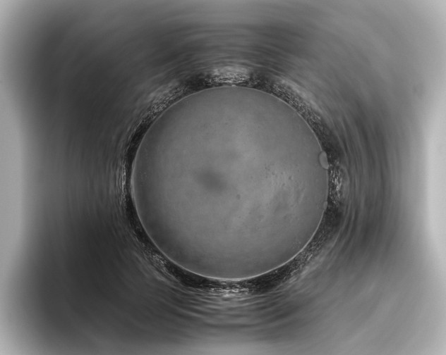 X0000096480745200801241444