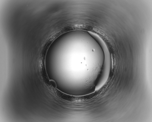 X0000096480746200801241444