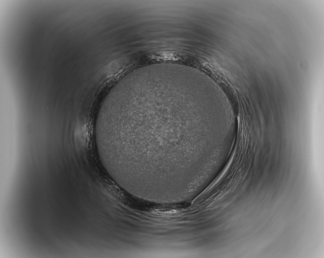 X0000096480747200801241444