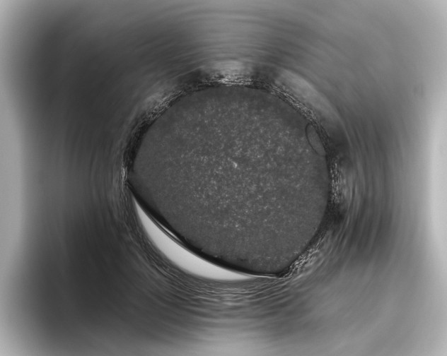 X0000096480748200801241444