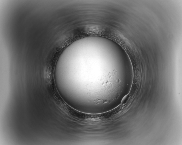 X0000096480749200801241444