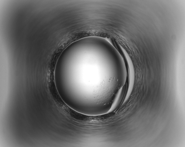 X0000096480750200801241444